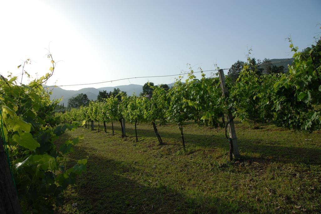 Tenuta Torellone San Potito Sannitico 外观 照片